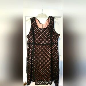 Covington Pink and Black Lace Dress